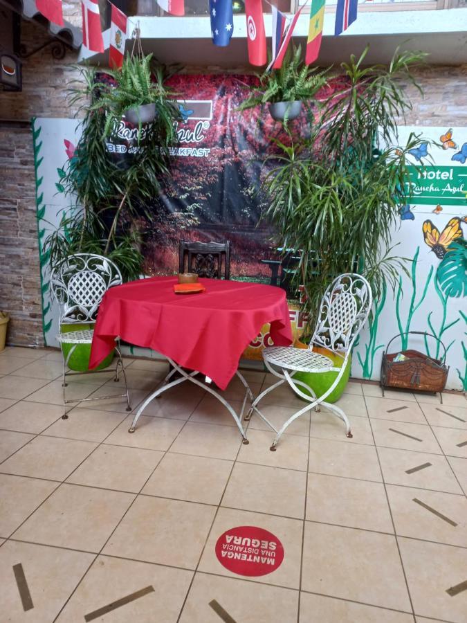 Rancha Azul Inn 알라후엘라 외부 사진