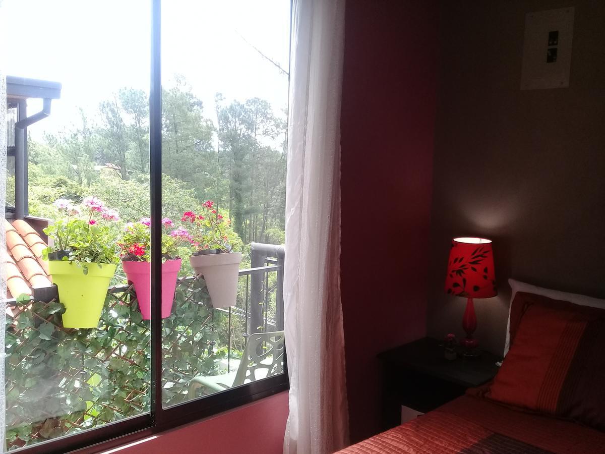 Rancha Azul Inn 알라후엘라 외부 사진