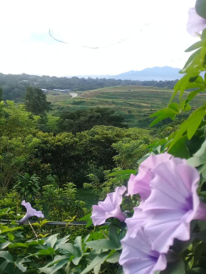 Rancha Azul Inn 알라후엘라 외부 사진
